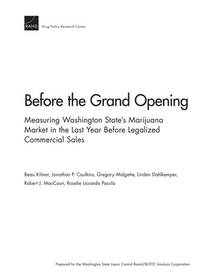 cover image of Before the Grand Opening